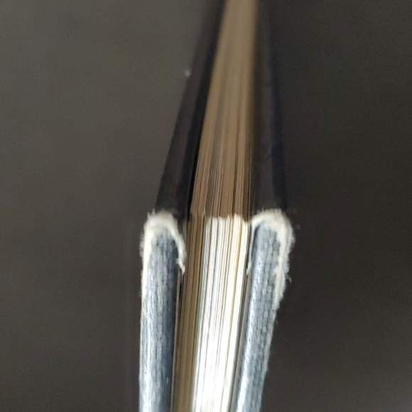 Born to be King book Prince William of Wales about 127 pages - Picture 15 of 17